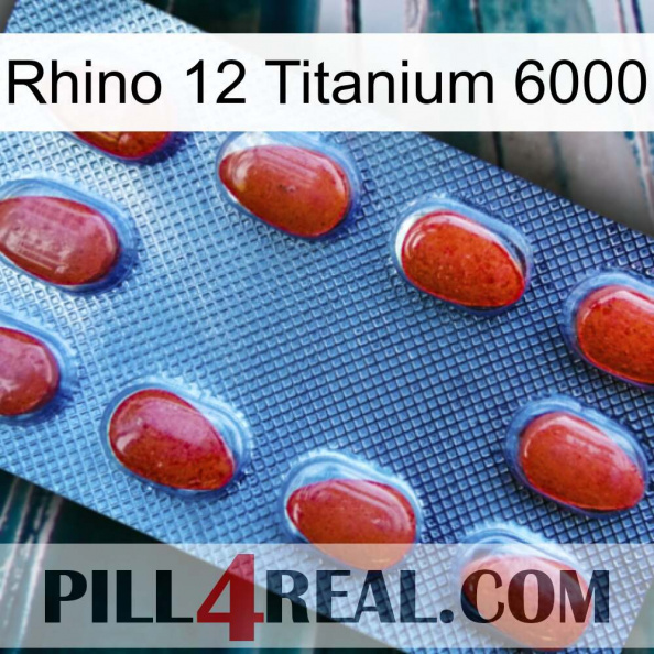 Rhino 12 Titanium 6000 06.jpg